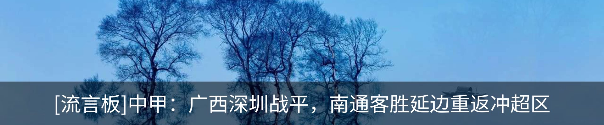 新闻动态